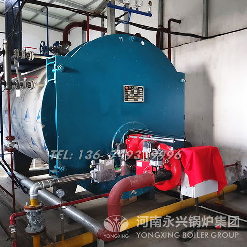 【釀酒食品化工-工業(yè)燃氣蒸汽鍋爐_燃氣鍋爐廠家】-