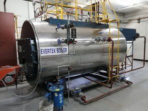 燃?xì)忮仩t輔機(jī)有哪些,工業(yè)鍋爐系統(tǒng)配置軟水設(shè)備原因